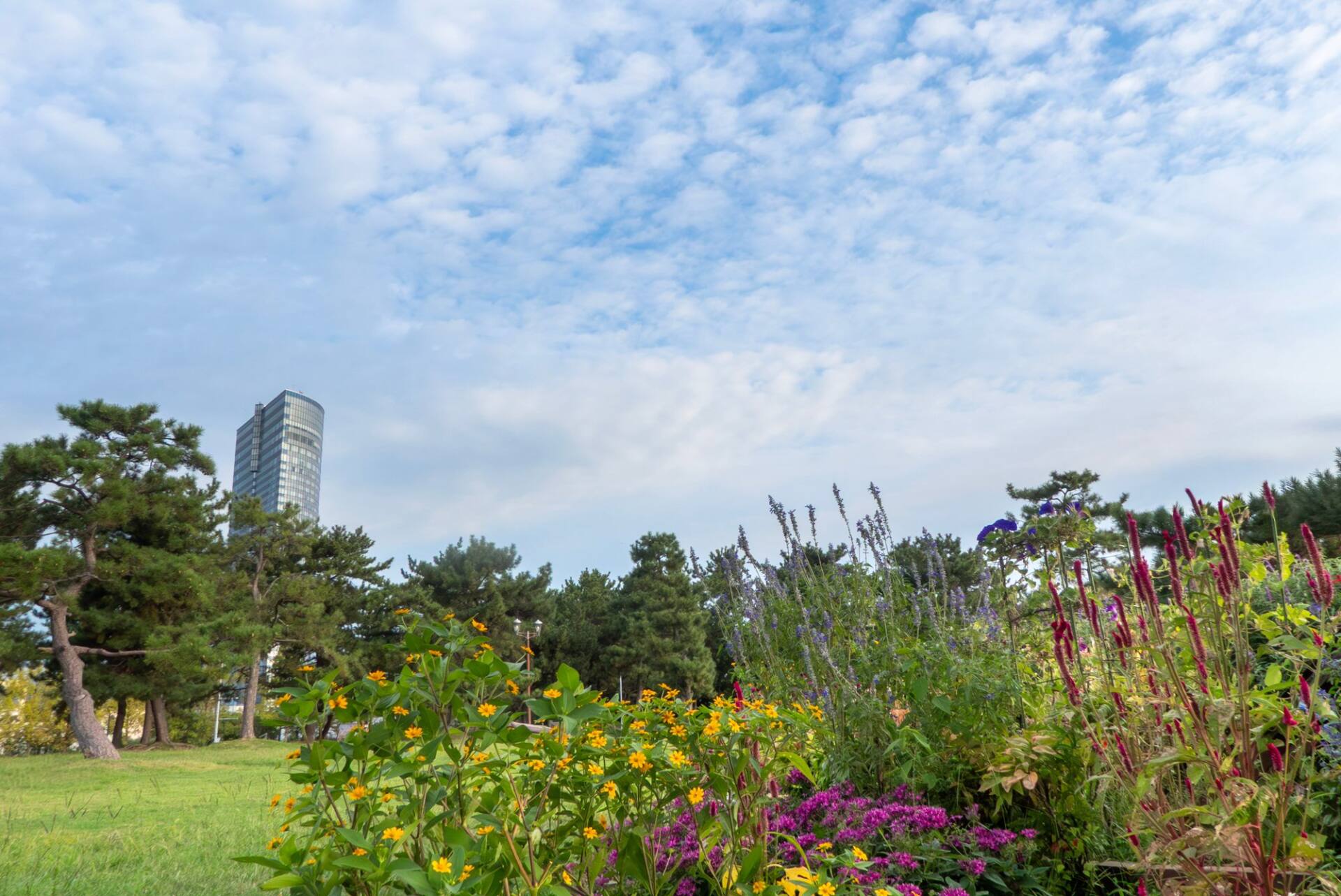 滋賀県大津市　琵琶湖畔のなぎさ公園